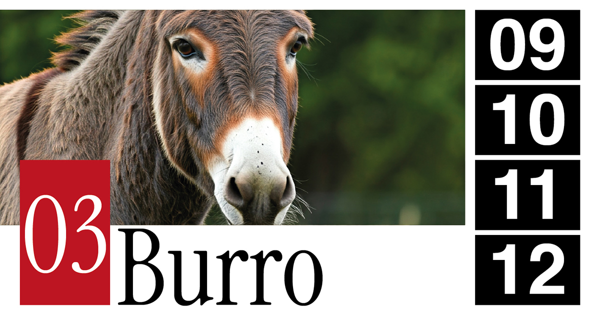 03 Burro - 09 - 10 - 11 - 12
