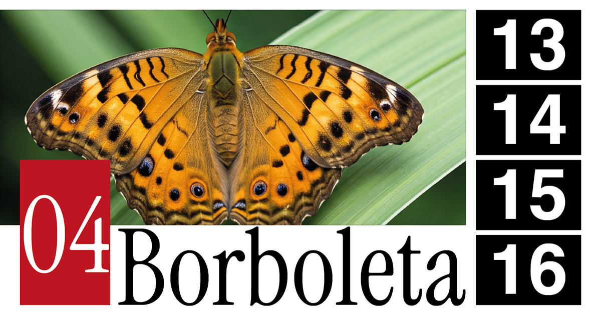 04 Borboleta - 13 - 14 - 15 - 16