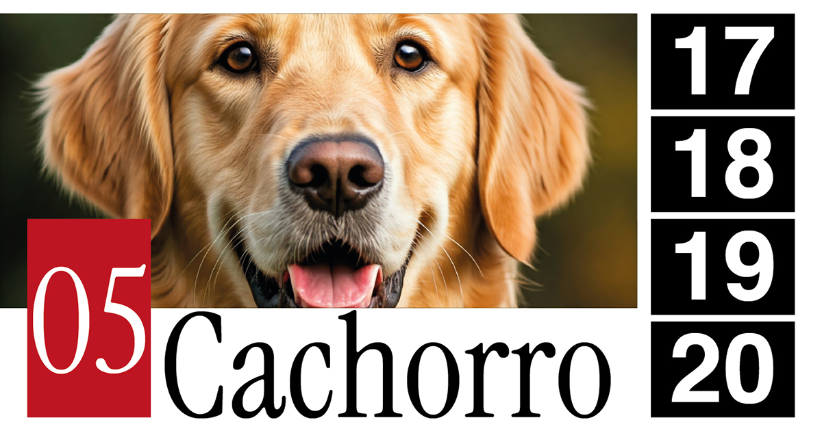05 Cachorro - 17 - 18 - 19 - 20