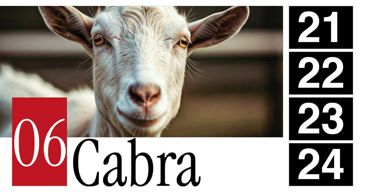 06 Cabra - 21 - 22 - 23 - 24