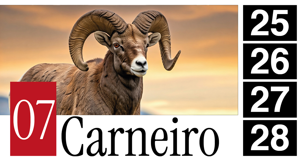 07 Carneiro - 25 - 26 - 27 - 28