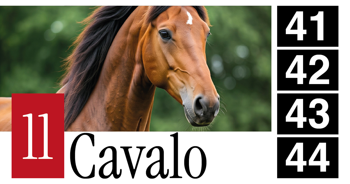 11 Cavalo - 41 - 42 - 43 - 44
