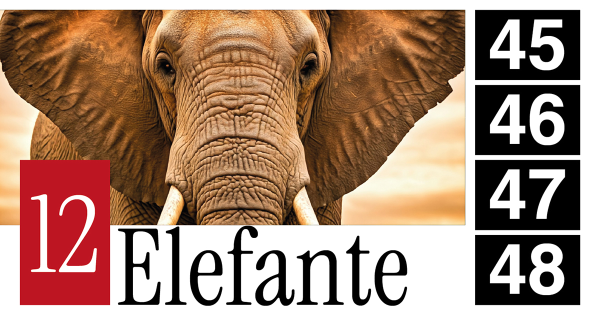 12 Elefante - 45 - 46 - 47 - 48