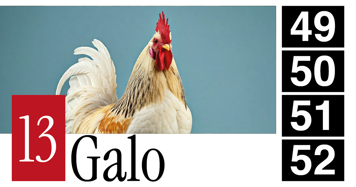 13 Galo - 49 - 50 - 51 - 52