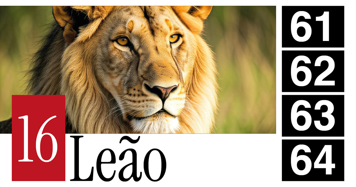 16 Leão - 61 - 62 - 63 - 64