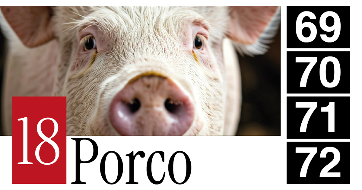 18 Porco - 69 - 70 - 71 - 72