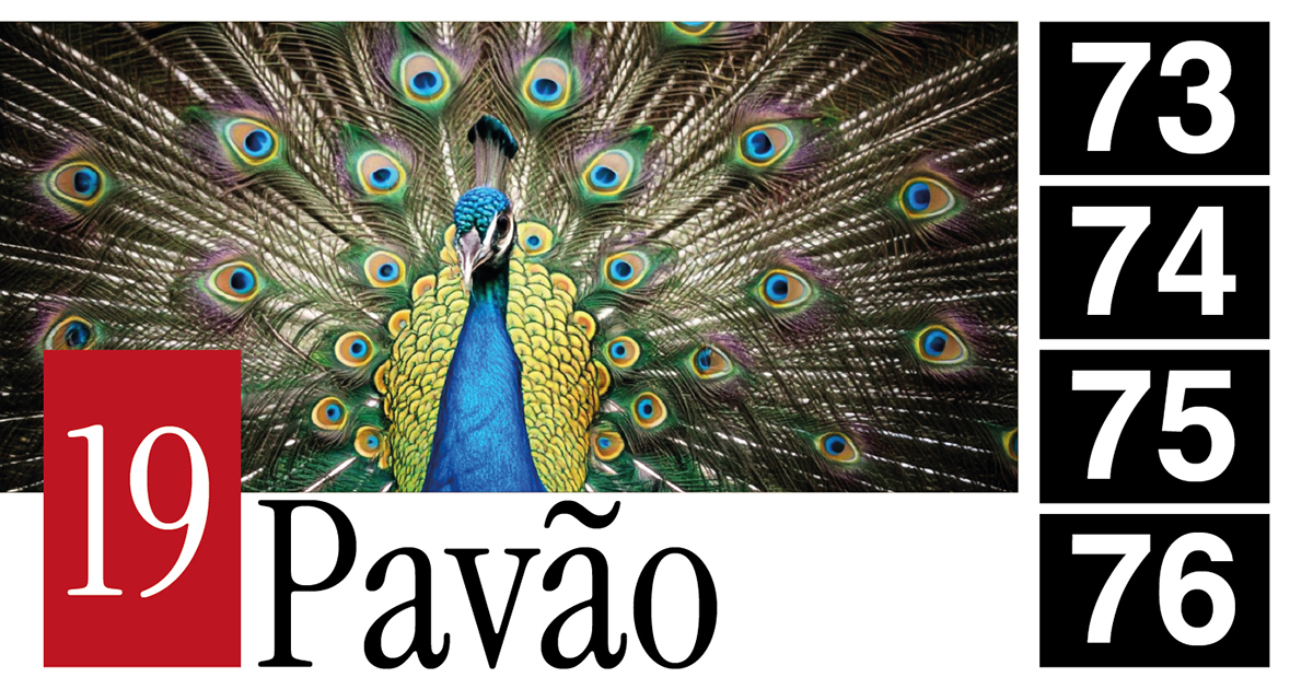 19 Pavão - 73 - 74 - 75 - 76