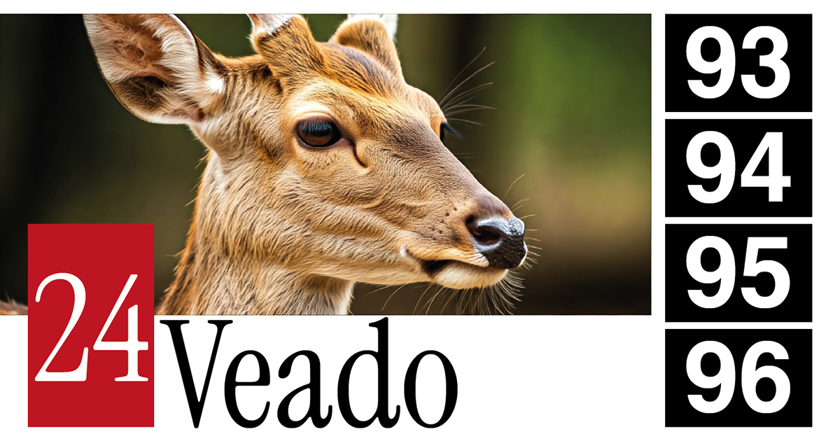 24 Veado - 93 - 94 - 95 - 96